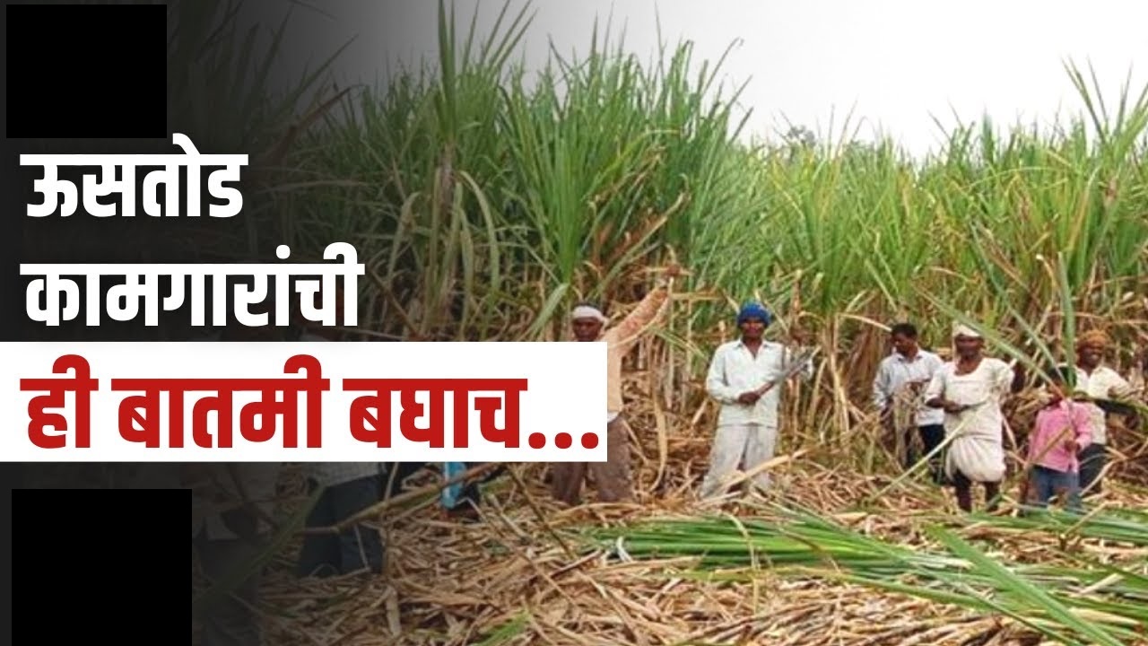 ऊसतोडणी कामगारांच्या प्रश्नांवर पुण्यात चर्चा; विविध योजनांची अंमलबजावणी करण्याची मागणी