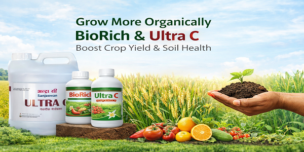 BioRich आणि Ultra C मुळे सर्व पिकांमध्ये भरघोस उत्पादन – शेतकऱ्यांचा विश्वास वाढला